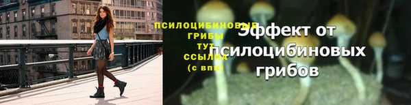 соль ск Богородицк