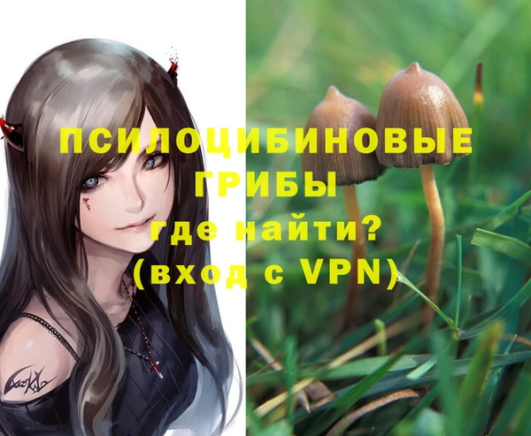 дживик Тайга