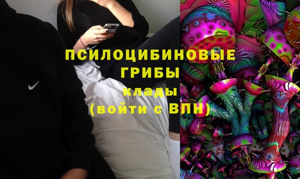 шишки Тавда