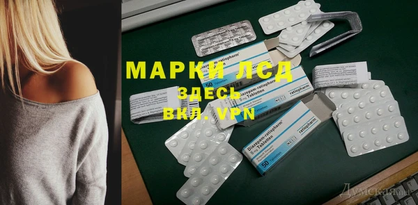 стаф Беломорск