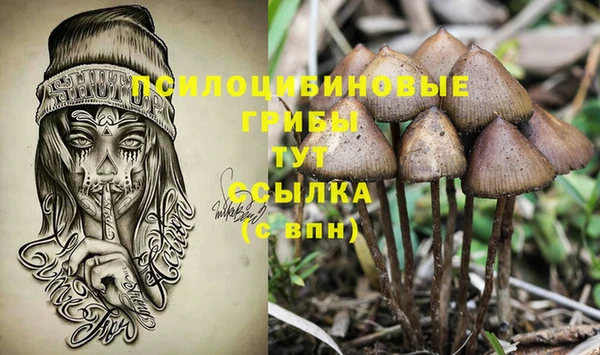 крисы Богородск