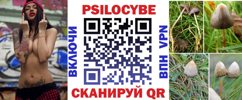 закладки  Бутурлиновка  Галлюциногенные грибы Magic Shrooms 