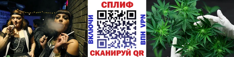 Конопля OG Kush  магазин    Бутурлиновка 